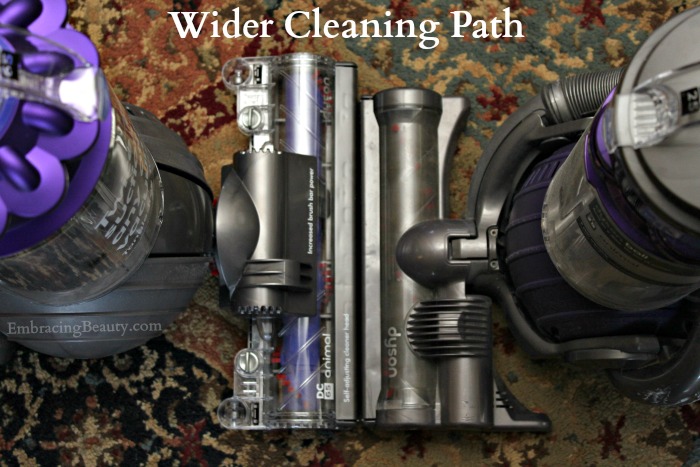 Dyson Cleaning Path