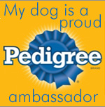 Pedigree Ambassador Badge