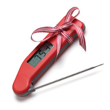 Thermapen gift