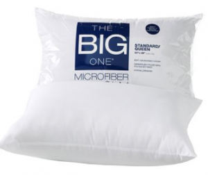 The Big One Pillow