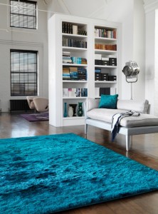 Blue Rug