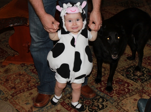 Little Cow