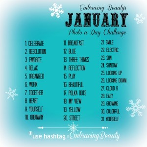 January Photo a Day Challenge!