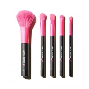 Breast Cancer Awareness Brushes