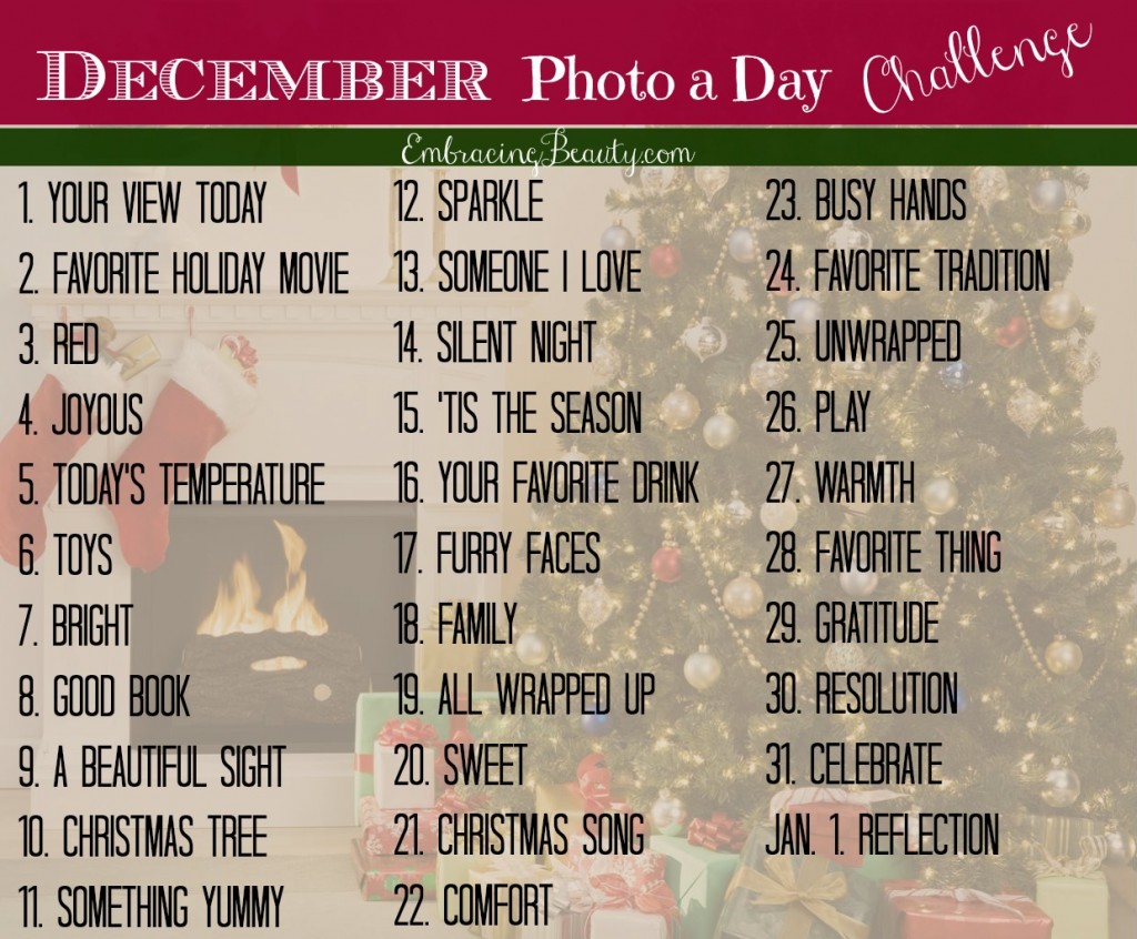 December Photo a Day Challenge!
