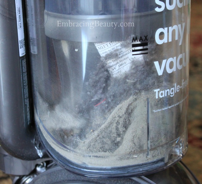 Dyson Canister of Dirt