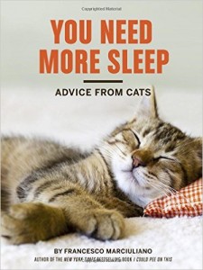You Need More Sleep Book